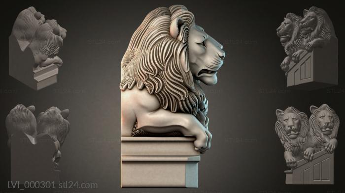 LVI_000301