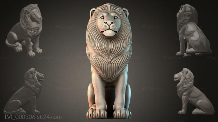 LVI_000306
