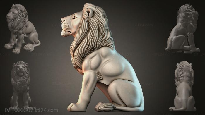 LVI_000307