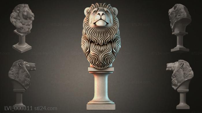LVI_000311