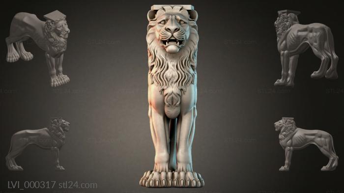 LVI_000317