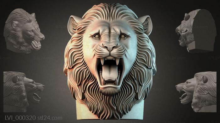 LVI_000320