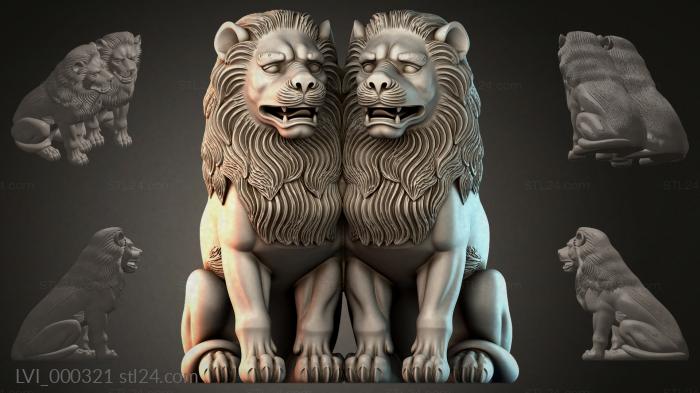 LVI_000321