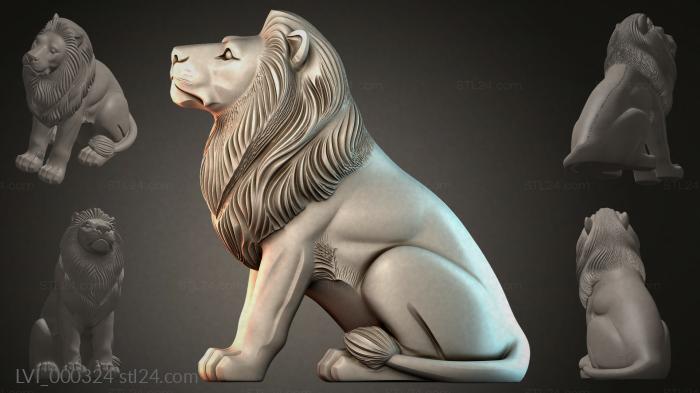 LVI_000324