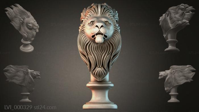 LVI_000329
