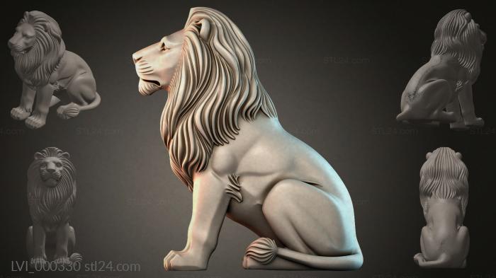 LVI_000330