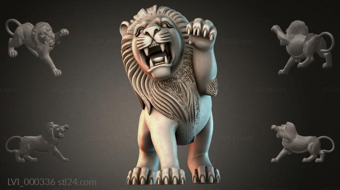 LVI_000336