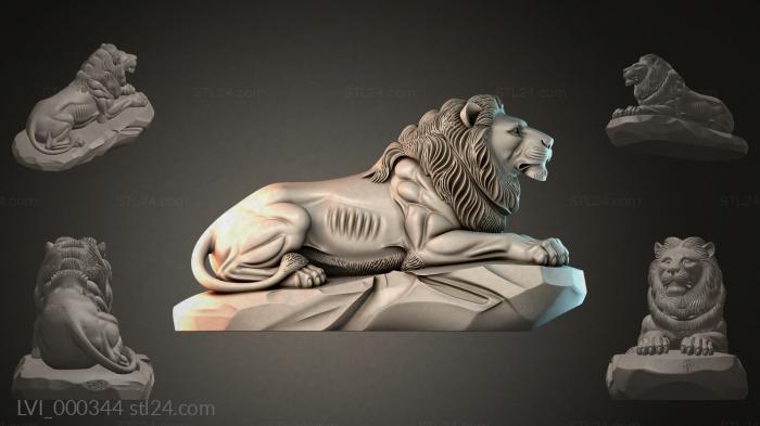LVI_000344