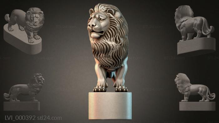 LVI_000392