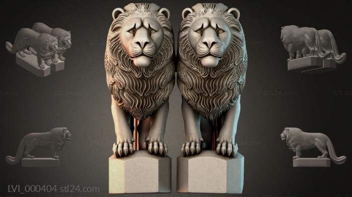 LVI_000404