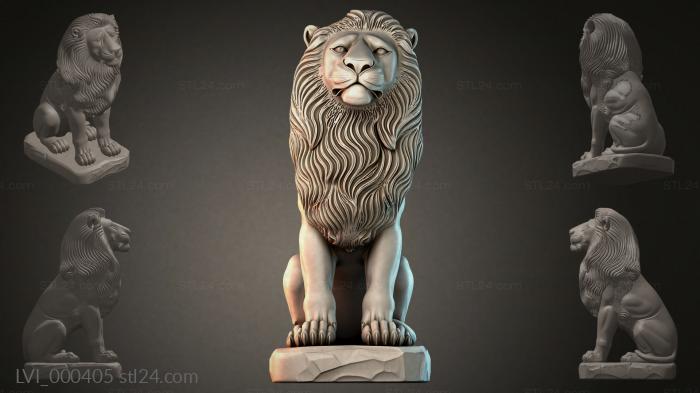 LVI_000405
