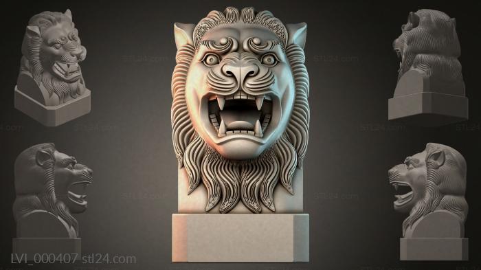 LVI_000407