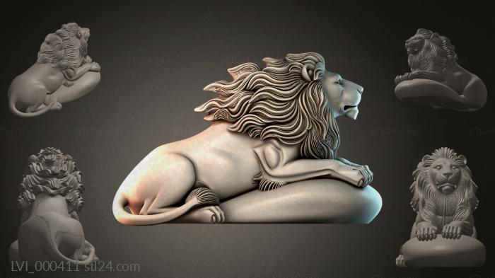 LVI_000411