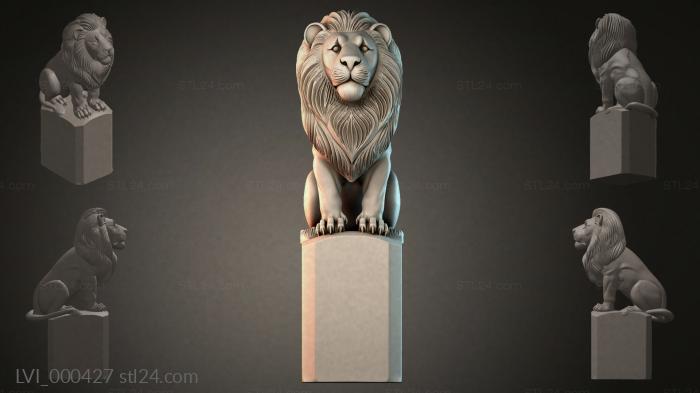 LVI_000427