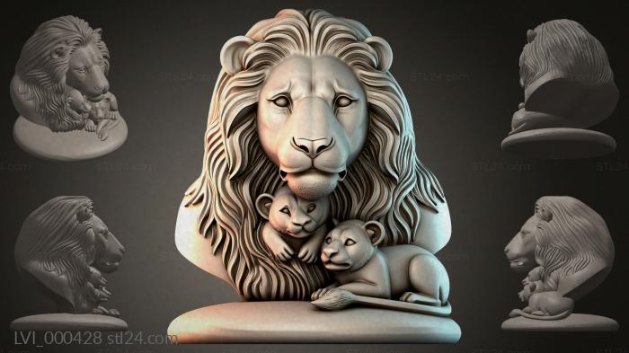 LVI_000428