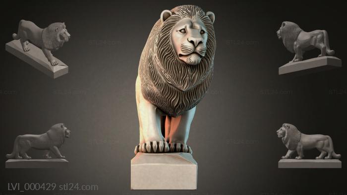 LVI_000429