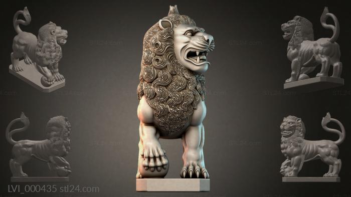 LVI_000435