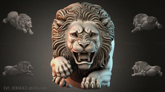 LVI_000443