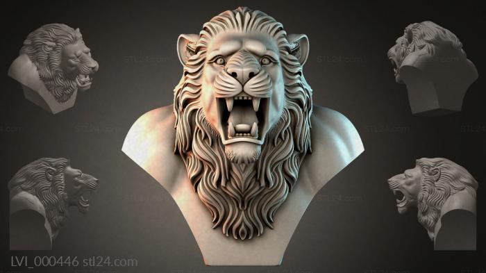 LVI_000446
