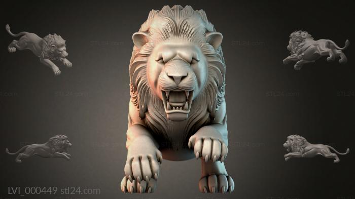 LVI_000449