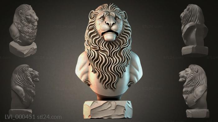 LVI_000451