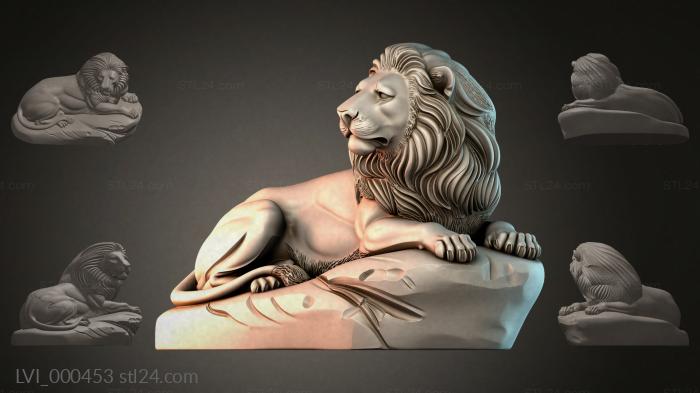 LVI_000453