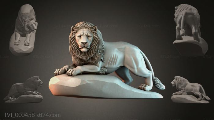 LVI_000458