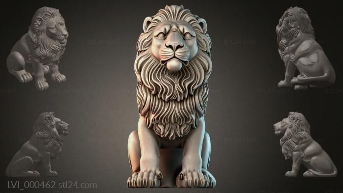 LVI_000462