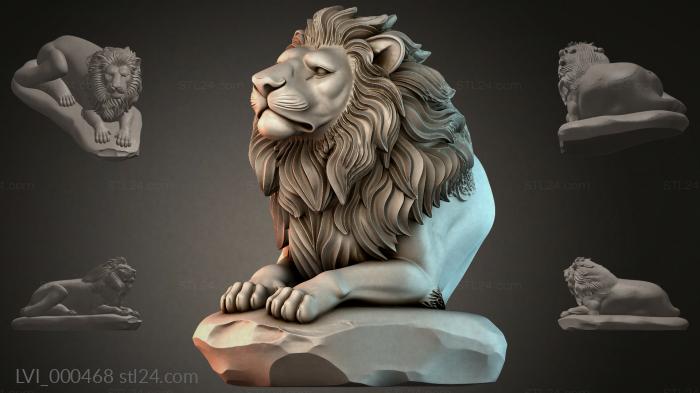 LVI_000468