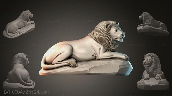 LVI_000472