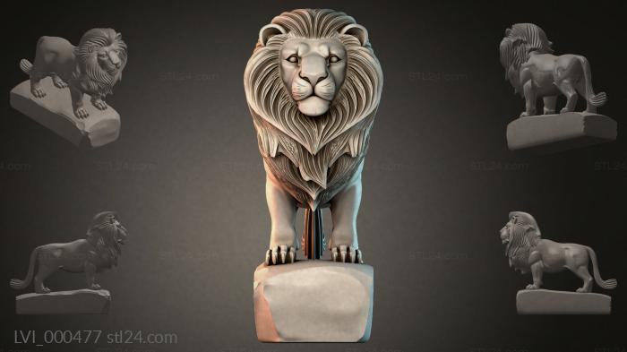 LVI_000477