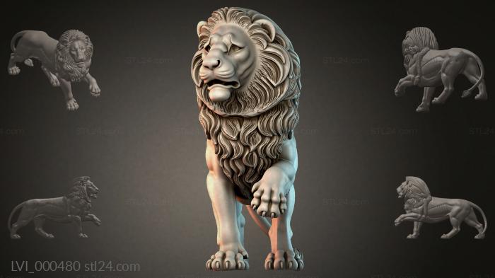 LVI_000480