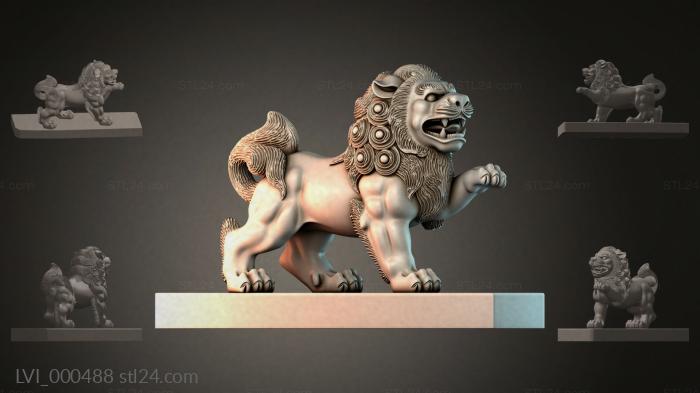 LVI_000488