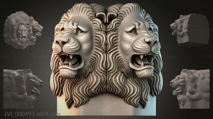 LVI_000493