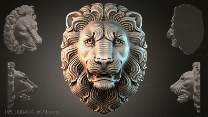 LVI_000494