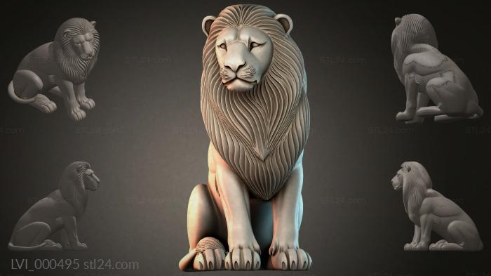 LVI_000495