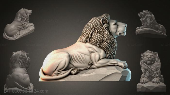 LVI_000755