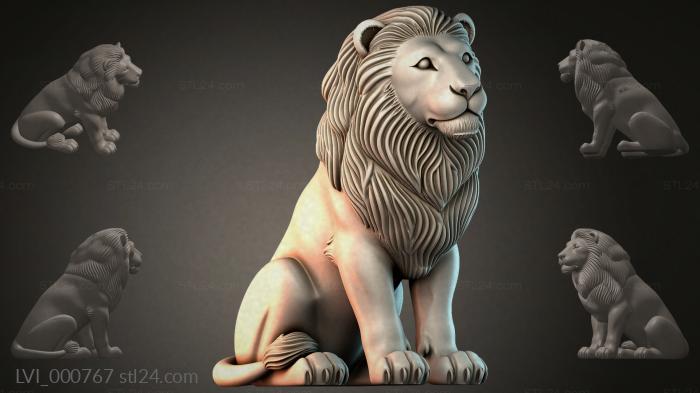 LVI_000767