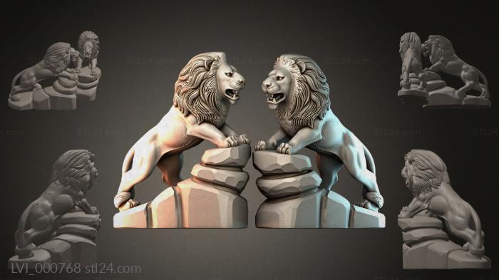 LVI_000768