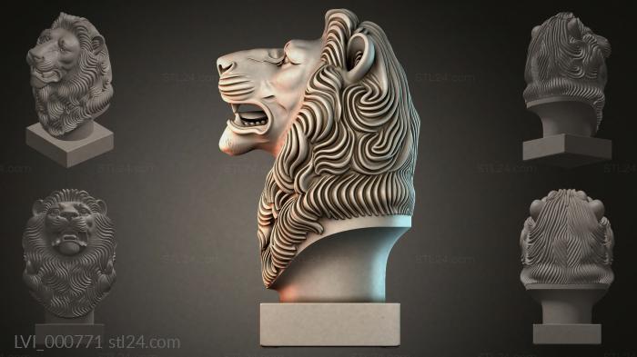 LVI_000771