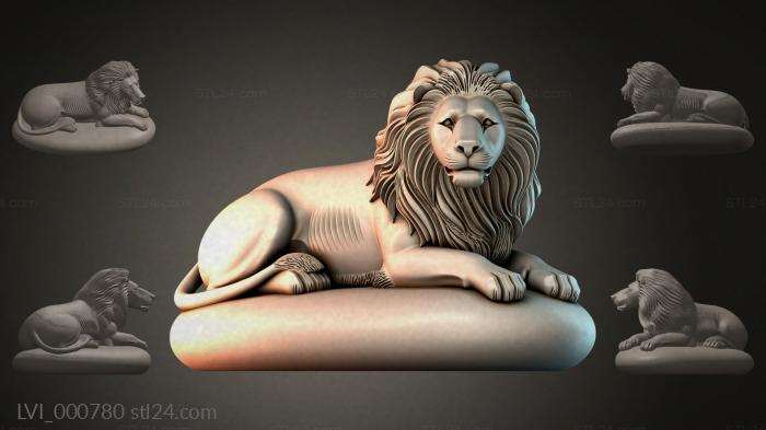 LVI_000780