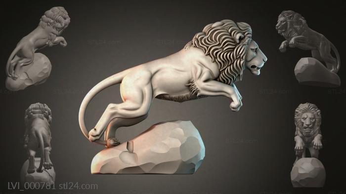 LVI_000781