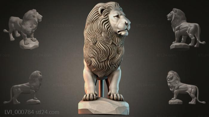 LVI_000784