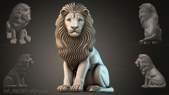 LVI_000787