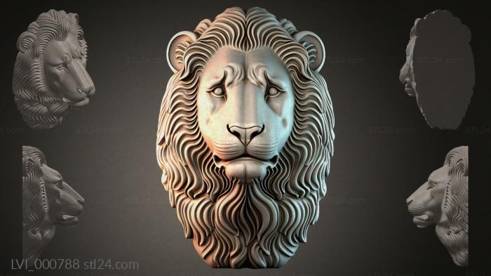 LVI_000788