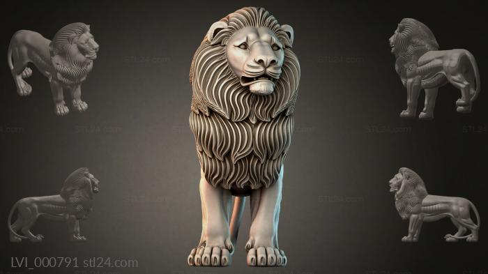 LVI_000791