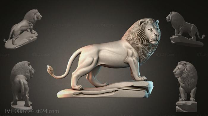 LVI_000794