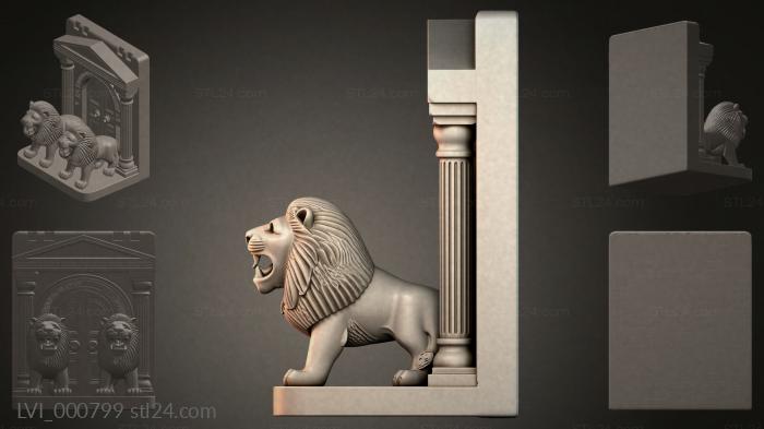LVI_000799