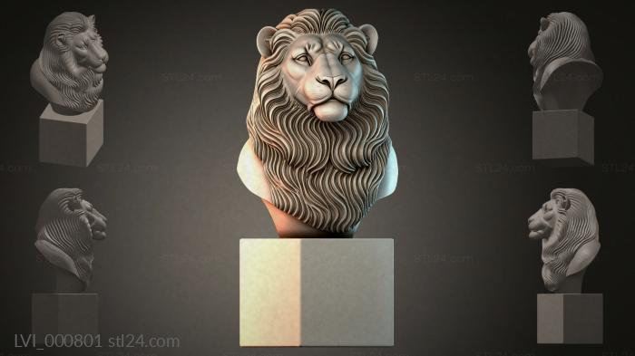 LVI_000801