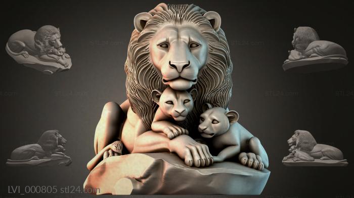 LVI_000805